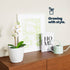 Plastic Plant Pot with Wave Design 18cm White  - Set of 2